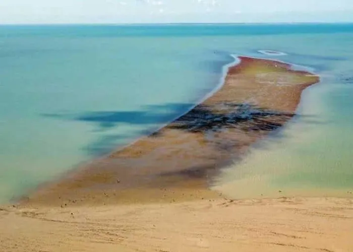 4 étoiles - Piscine - Cbgcaig * Notre-Dame-de-Monts