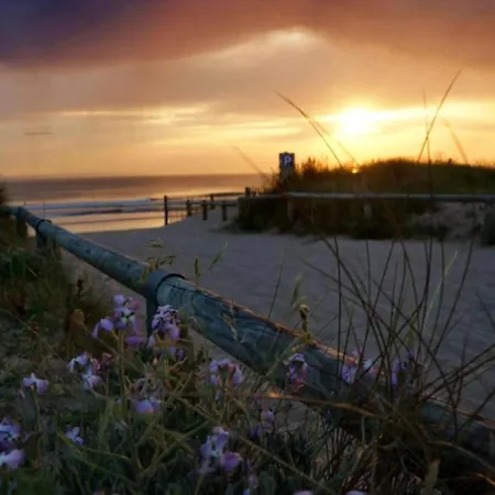 Kemp Zecamping 4 Piscine Chiens Acceptes Sauna Hammam Mini Golf 500m Notre-Dame-de-Monts