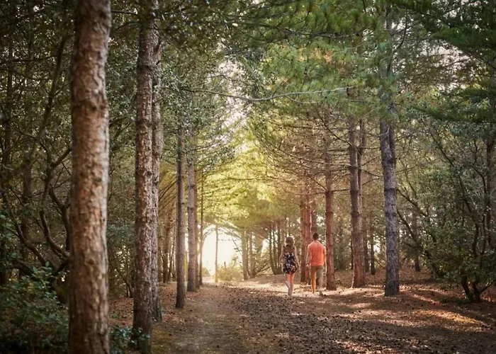 4 Etoiles - Piscine - Cbgcaig Kemp Notre-Dame-de-Monts