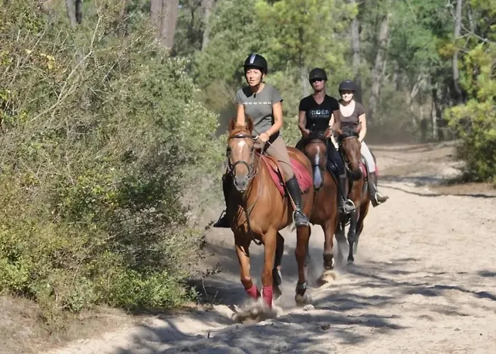 Zecamping 4 Piscine Chiens Acceptes Sauna Hammam Mini Golf 500M Plage אתר קמפינג 4*