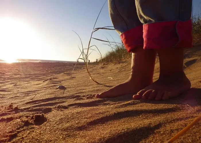 Zecamping 4 Piscine Chiens Acceptes Sauna Hammam Mini Golf 500m Kemp Notre-Dame-de-Monts